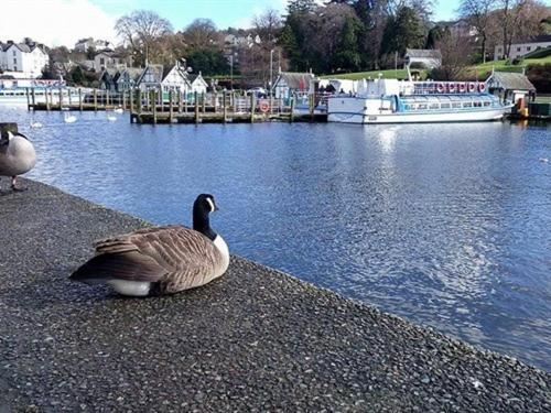 Holmlea Guest House Exclusively For Adults Windermere Exteriör bild